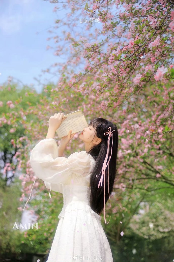 如懿传 封面