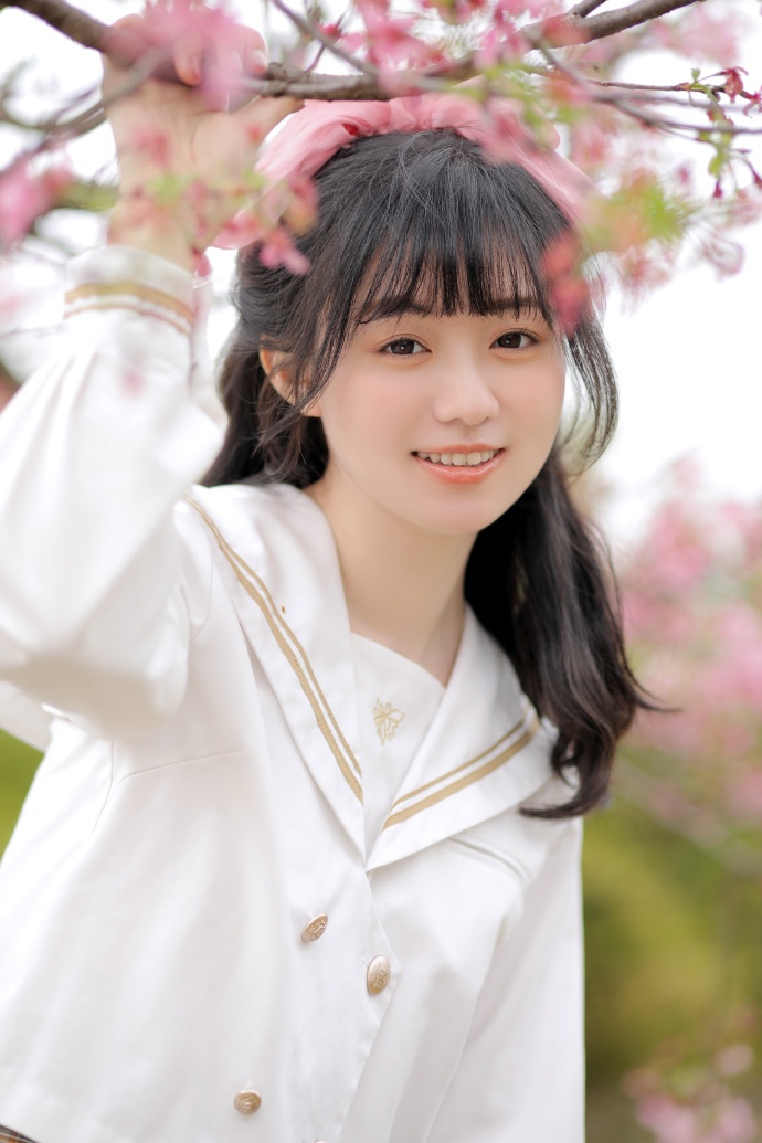走向共和